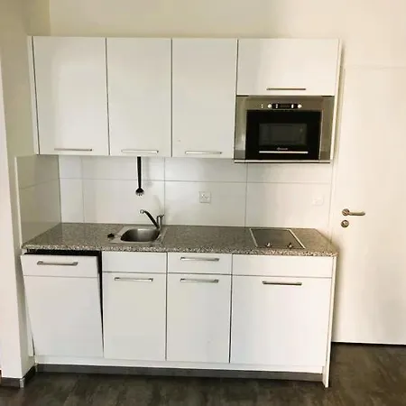 Flats With Balcony Hilda Self Checkin ציריך